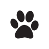 Pets